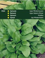 Spinazie viroflex 100g - afbeelding 4
