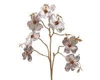 Spray plc l24b3h90cm roze