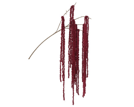 Spray polyester l15b5h80cm bordeaux
