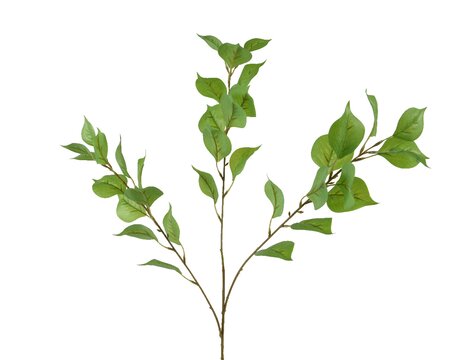 Spray polyester l18b3h82cm groen