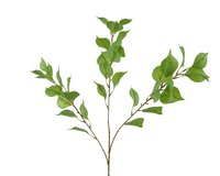 Spray polyester l18b3h82cm groen