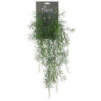 Springeri hanger l56cm groen/wit hanger (Zijde-plant)