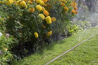 Sproeislang 15m bruin - afbeelding 3