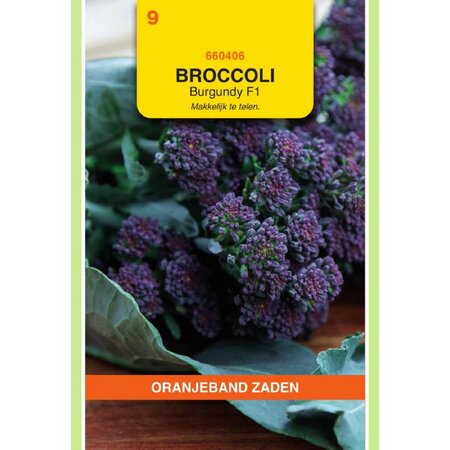 Sprouting broccoli burgundy 20zdn - afbeelding 1