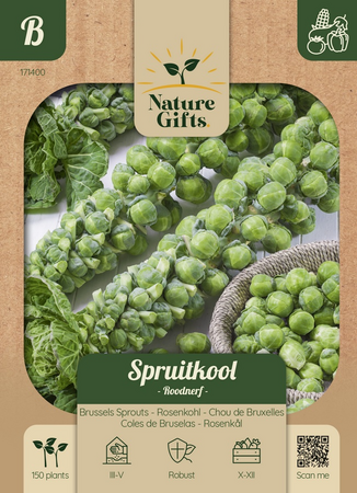 Spruitkool roodnerf 150st