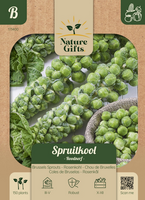 Spruitkool roodnerf 150st