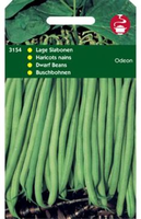 Stamslaboon odeon 50g - afbeelding 4