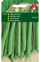 Stamslaboon prelude 100g - afbeelding 4