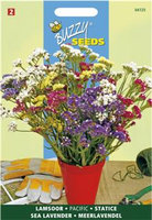 Statice sinuata pacific 0.25gram - afbeelding 3