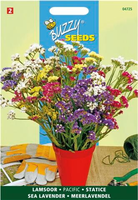 Statice sinuata pacific 0.25gram - afbeelding 4