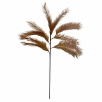Steel panicle gras h72cm l.bruin