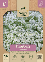 Steenkruid sneeuwtapijt 80st