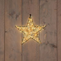 Ster metaal 200led 26cm cw/ww