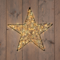 Ster metaal 500led 56cm cw/ww