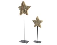 Ster paulowniahout l14h35cm naturel