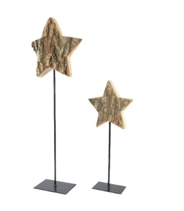 Ster paulowniahout l19h55cm naturel