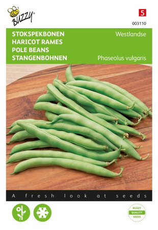 Stokslabonen westlandse dubbele - afbeelding 1