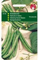 Stokslaboon westlands dubbele 100g - afbeelding 3