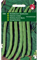 Stokspekboon neckarkoningin 100g - afbeelding 3