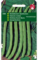 Stokspekboon neckarkoningin 100g - afbeelding 4