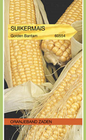 Suikermais golden bantam 8g - afbeelding 3