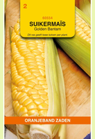 Suikermais golden bantam 8g