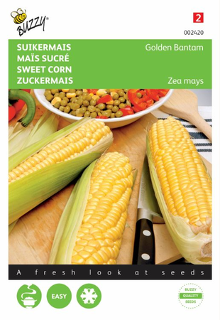 Suikermais golden bantam 8g - afbeelding 1