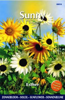 Sunny flowers esther 2g - afbeelding 3