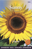 Sunny flowers gigant 5g - afbeelding 4