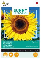 Sunny flowers gigant 5g
