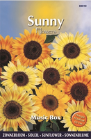 Sunny flowers music box 1gram - afbeelding 4