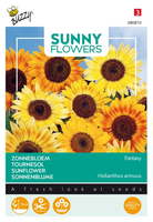 Sunny flowers music box 1gram