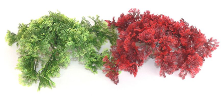 Sydeco tropical moss