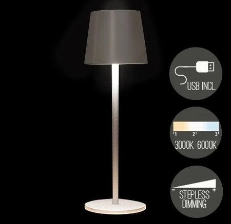 Tafellamp draadloos 27.5x9cm zilver