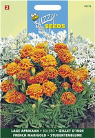 Tagetes patula nana bolero 1gram - afbeelding 5