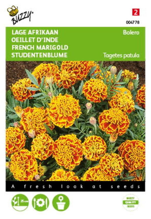 Tagetes patula nana bolero 1gram - afbeelding 1