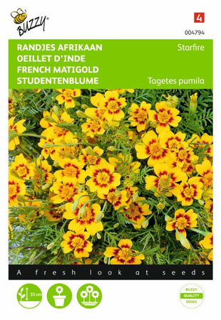 Tagetes signata pumila randjesafrikaan 1gram - afbeelding 1