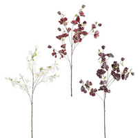 Tak cornus l115b33h11cm bordeaux a3