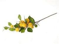 Tak lemon plant l90b27h20cm geel