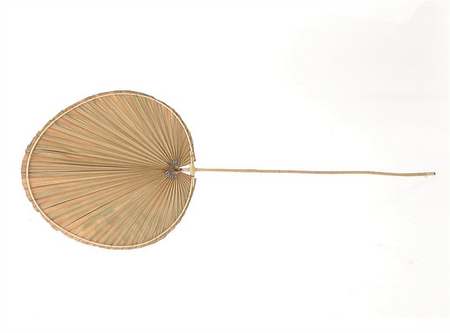 Tak palm oval b30h100cm naturel