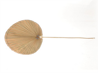 Tak palm oval b30h100cm naturel