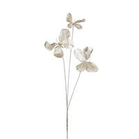 Tak vlinder l70b18h17cm champagne