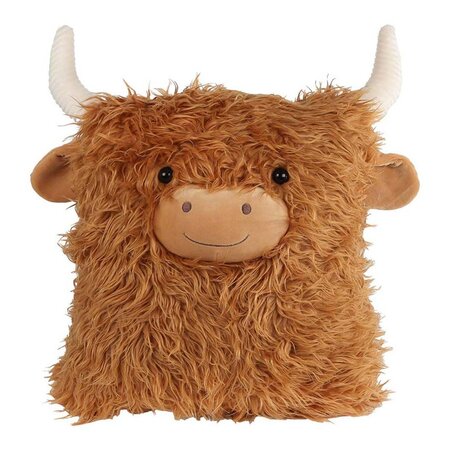 Take me home jak kussen 38x33cm