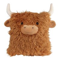 Take me home jak kussen 38x33cm