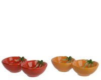 Tapas dolomiet l9b17.40h4cm a2