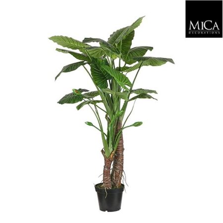 Taro in pot d100h160cm groen  (Zijde-plant)