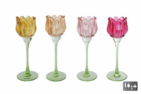 Theelichthouder tulip d7h22cm per stuk