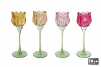 Theelichthouder tulip d7h22cm per stuk