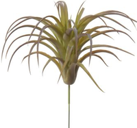 Tillandsia h18cm groen (Zijde-tak) - afbeelding 2