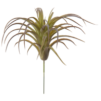 Tillandsia h18cm groen (Zijde-tak)